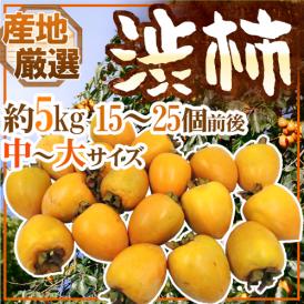 干し柿・吊るし柿用 ”渋柿” 中～大サイズ 約5kg 「愛宕柿」「大和柿」いずれかを旬な産地で♪【予約 11月中旬以降】 送料無料