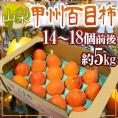 干し柿・吊るし柿用 ”渋柿” 山梨県 甲州百目柿 もしくは 奈良県西吉野 江戸柿 大玉14～18玉前後 約5kg【予約 11月以降】 送料無料