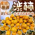 干し柿・吊るし柿用 ”渋柿” 約8kg 大きさおまかせ 「愛宕柿」「大和柿」いずれかを旬な産地で♪【予約 11月中旬以降】 送料無料