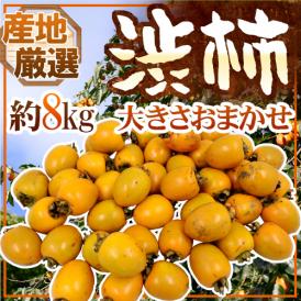 干し柿・吊るし柿用 ”渋柿” 約8kg 大きさおまかせ 「愛宕柿」「大和柿」いずれかを旬な産地で♪【予約 11月中旬以降】 送料無料