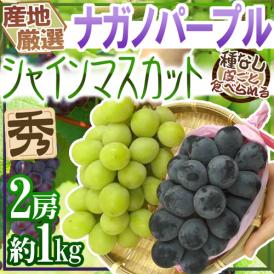 ”シャインマスカット＆ナガノパープル” 秀品 2房 合計約1kg 産地厳選 食べ比べ ぶどう【予約 9月以降】 送料無料