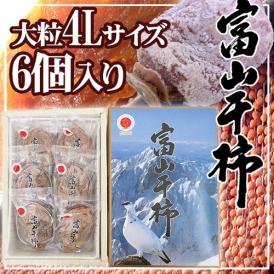 富山産 ”富山干柿” 4Lサイズ 特大粒 6個入 化粧箱【予約 12月中旬以降】 送料無料