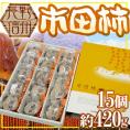 長野・南信州産 ”市田柿” 15玉 化粧箱 個包装【予約 12月以降】 送料無料