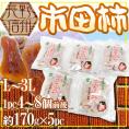 長野・南信州産 ”市田柿” 約170g×5pc（1パックに4～8個前後）L～3L【予約 12月以降】 送料無料