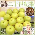 ”二十世紀梨” 訳あり 10～20玉 約5kg 産地厳選【予約 9月下旬以降】 送料無料