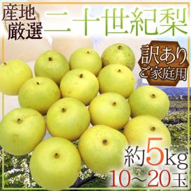 ”二十世紀梨” 訳あり 10～20玉 約5kg 産地厳選【予約 9月下旬以降】 送料無料