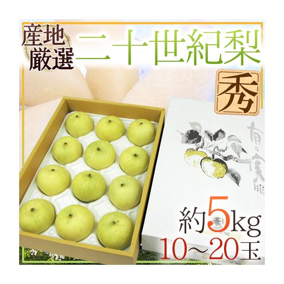 【送料無料】&rdquo;二十世紀梨&rdquo; 秀品 10～20玉 約5kg 産地厳選【予約 9月中下旬以降】01