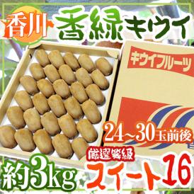 香川県 ”香緑 スイート16” 24～30玉前後 約3kg 最低糖度15.5度以上保証 キウイ【予約 11月下旬以降】 送料無料