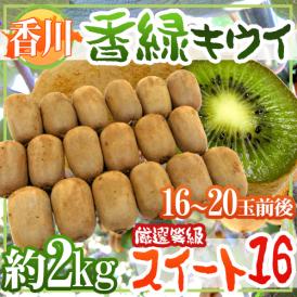 ”香川県 香緑 スイート16” 16～20玉前後 約2kg 最低糖度15.5度以上保証 キウイ【予約 11月下旬以降】 送料無料