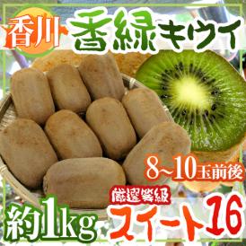 ”香川県 香緑 スイート16” 8～10玉前後 約1kg 最低糖度15.5度以上保証 キウイ【予約 11月下旬以降】