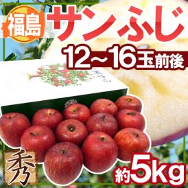 ”福島産 蜜入りサンふじ” 秀品 大玉12～16玉 約5kg 化粧箱【予約 11月下旬以降】 送料無料