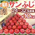 福島産 ”蜜入りサンふじ” 秀品 大玉24～32玉 約10kg【予約 11月下旬以降】 送料無料