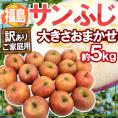 ”福島産 蜜入りサンふじ” 訳あり 大きさおまかせ 約5kg【予約 11月下旬以降】 送料無料