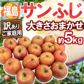 ”福島産 蜜入りサンふじ” 訳あり 大きさおまかせ 約5kg【予約 11月下旬以降】 送料無料
