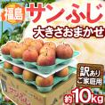福島産 ”蜜入りサンふじ” 訳あり 大きさおまかせ 約10kg【予約 11月下旬以降】 送料無料