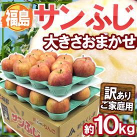 福島産 ”蜜入りサンふじ” 訳あり 大きさおまかせ 約10kg【予約 11月下旬以降】 送料無料