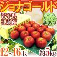 岩手県江刺産 ”ジョナゴールド” 12～16玉 約5kg ほんのちょっと訳あり りんご【予約 10月下旬以降】 送料無料