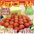 岩手県江刺産 ”ジョナゴールド” 24～32玉 約10kg ほんのちょっと訳あり りんご【予約 10月下旬以降】 送料無料