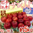 岩手江刺産 ”蜜入りサンふじ” 秀品 12～18玉 約5kg【予約 11月末以降】 送料無料