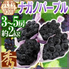長野産 ”ナガノパープル” 秀品 3〜5房 約2kg ぶどう【予約 9月以降】[M1] 送料無料