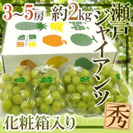 岡山産 ”瀬戸ジャイアンツ” 3～5房 約2kg 化粧箱 ぶどう[K1]【予約 8月以降】 送料無料