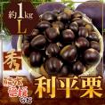 ”利平栗” 秀品 L 約1kg 熊本産・愛媛産など【予約 9月下旬以降】