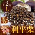 ”利平栗” 秀品 L 約2kg 熊本産・愛媛産など【予約 9月下旬以降】 送料無料