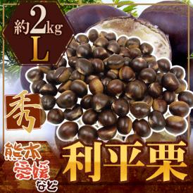 ”利平栗” 秀品 L 約2kg 熊本産・愛媛産など【予約 9月下旬以降】 送料無料