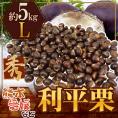 ”利平栗” 秀品 L 約5kg 熊本産・愛媛産など【予約 9月下旬以降】 送料無料