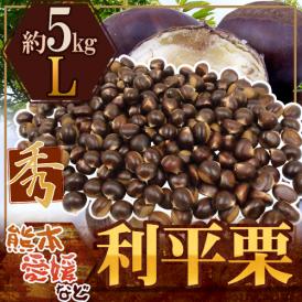 ”利平栗” 秀品 L 約5kg 熊本産・愛媛産など【予約 9月下旬以降】 送料無料