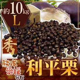 ”利平栗” 秀品 L 約10kg 熊本産・愛媛産など【予約 9月下旬以降】 送料無料