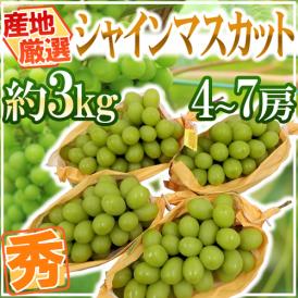 ”シャインマスカット” 秀品 4～7房 約3kg 産地厳選【予約 8月下旬以降】