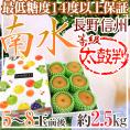 ”長野産 南水梨 太鼓判” 大玉5～8玉前後 約2.5kg【予約 9月下旬以降】 送料無料