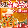 愛媛産 ”紅まどんな” 8~10玉前後 約1.5kg 化粧箱【お歳暮・予約 12月以降】 送料無料