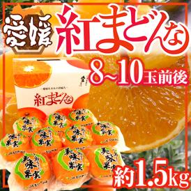 愛媛産 ”紅まどんな” 8～10玉前後 約1.5kg 化粧箱【お歳暮・予約 12月以降】 送料無料
