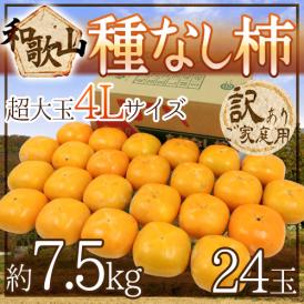 和歌山産 ”たねなし柿” 訳あり 超大玉4L 24玉 約7.5kg【予約 10月以降】 送料無料