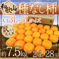 和歌山産 ”たねなし柿” 訳あり 3L～4Lサイズ 24～28玉 約7.5kg【予約 10月以降】 送料無料