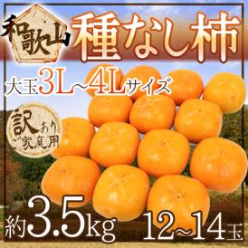和歌山産 ”たねなし柿” 訳あり 3L～4Lサイズ 12～14玉 約3.5kg【予約 10月以降】 送料無料