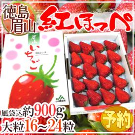 徳島県 ”眉山産 紅ほっぺ” 大粒16～24粒 化粧箱 いちご【予約 12月以降】 送料無料