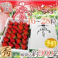 徳島県勝占産 ”夢いちご” 大粒 16～28粒 化粧箱入り【予約 12月以降】 送料無料