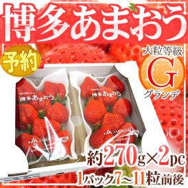 福岡産 博多 ”あまおういちご” 等級G（グランデ） 1箱 2パック入り（1パック約270g）【予約 12月以降】 送料無料