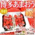 福岡産 博多 ”あまおういちご” 等級DX(デラックス) 1箱 2パック入り(1パック約270g)【予約 12月以降】 送料無料