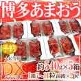 福岡産 博多 ”あまおういちご” 等級DX(デラックス) 5箱 10パック入り(1パック約270g)【予約 12月以降】 送料無料