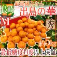 長崎産 ”出島の華” 秀品 Mサイズ 約5kg 味まる・味っ子の最上位等級【予約 12月中旬以降】 送料無料