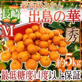 長崎産 ”出島の華” 秀品 Mサイズ 約5kg 味まる・味っ子の最上位等級【予約 12月中旬以降】 送料無料