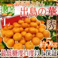 長崎産 ”出島の華” 秀品 Lサイズ 約5kg 味まる・味っ子の最上位等級【予約 12月中旬以降】 送料無料