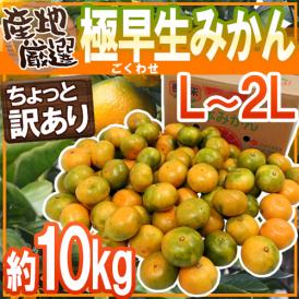 ”極早生みかん” ちょっと訳あり L〜2Lサイズ 約10kg【予約 10月中下旬以降】 送料無料