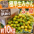 ”極早生みかん” ちょっと訳あり S〜Mサイズ 約10kg【予約 10月中下旬以降】 送料無料