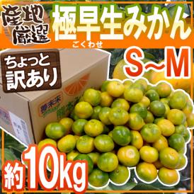 ”極早生みかん” ちょっと訳あり S〜Mサイズ 約10kg【予約 10月中下旬以降】 送料無料