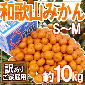 ”和歌山みかん” 訳あり S～Mサイズ 約10kg【予約 11月末以降】 送料無料